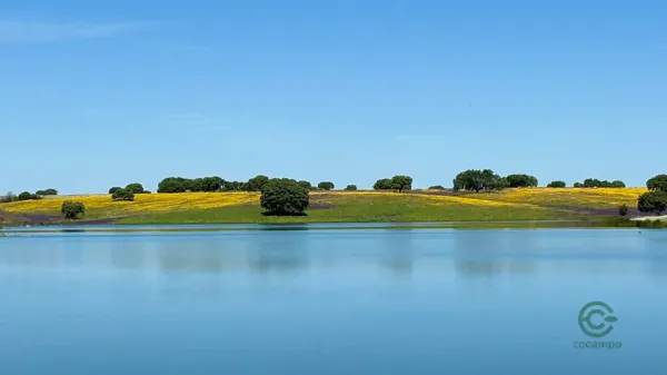 Finca agrícola de 353 ha en venta en Badajoz