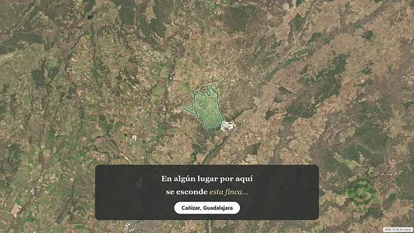 Spot image