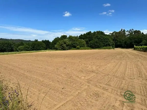 Finca agrícola de 0,39 ha en venta en Vedra, La coruna
