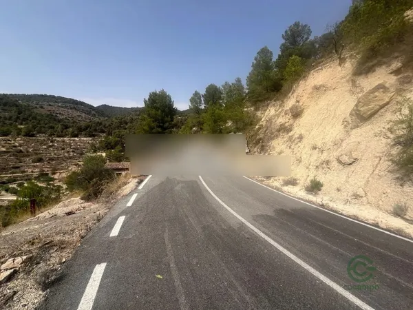 Spot image