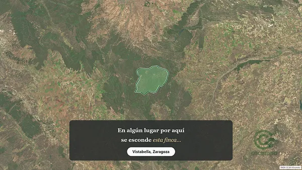 Spot image