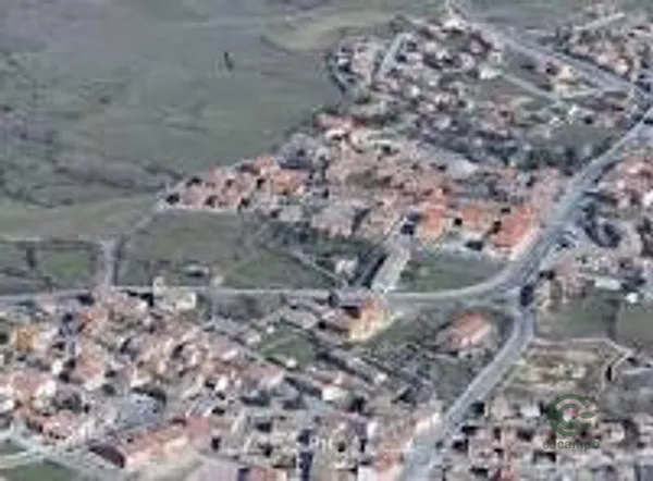 Spot image