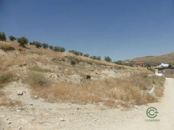 Finca rústica de 0,6427 ha en venta en Malahá, La, Granada