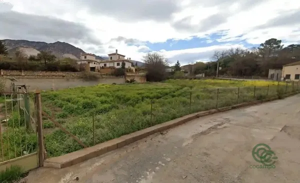 Spot image
