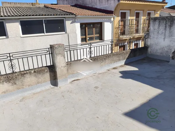 Spot image