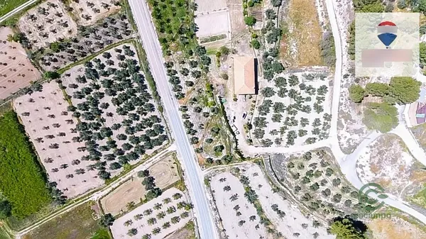 Spot image