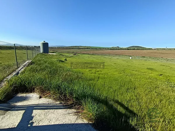 Spot image