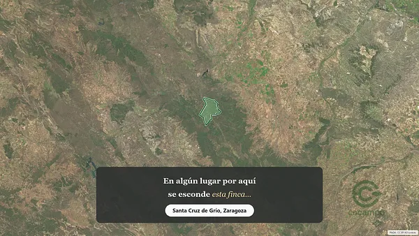 Spot image