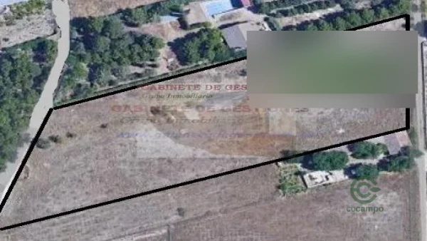 Spot image