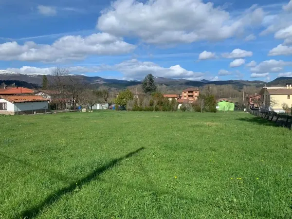 Spot image