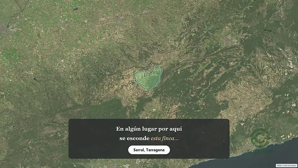 Spot image