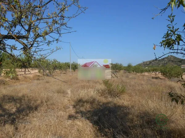 Spot image