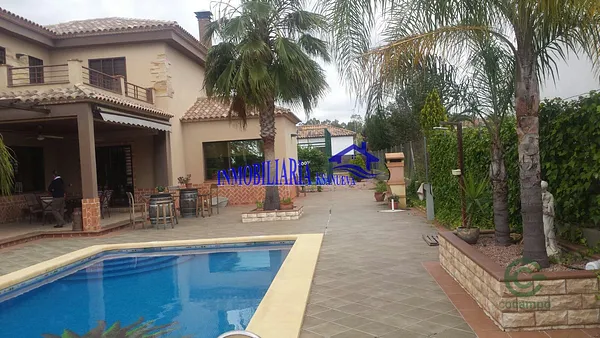 Spot image