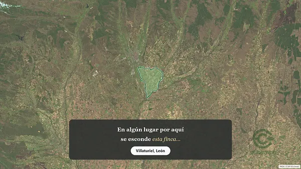 Spot image