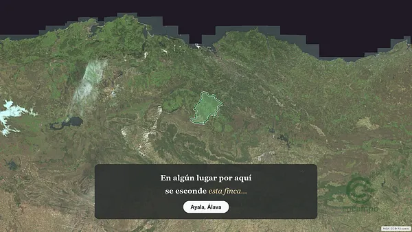 Spot image
