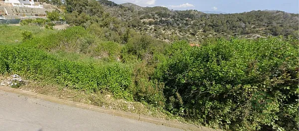 Spot image