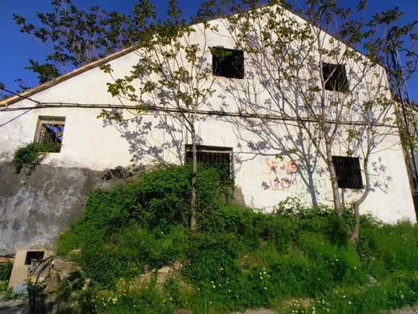 Spot image