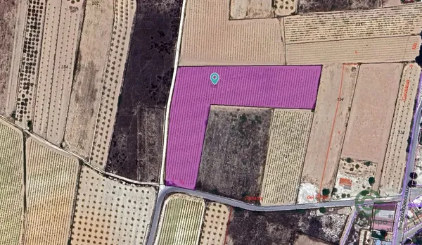 Spot image