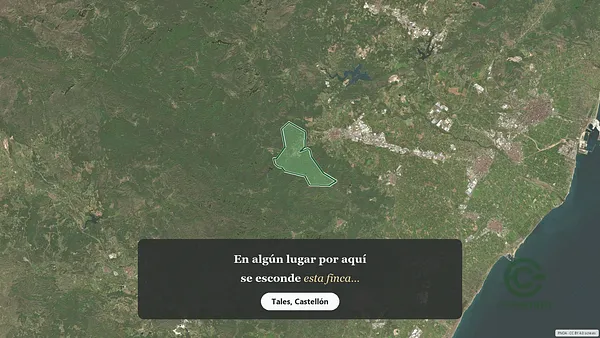 Spot image