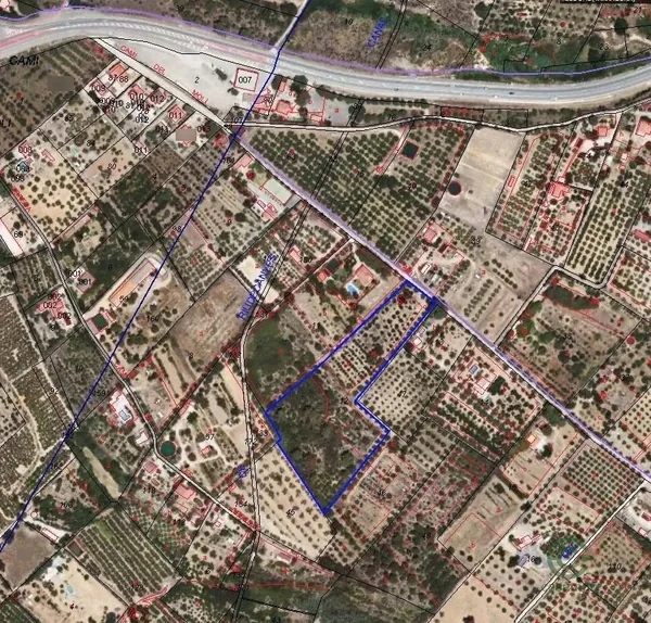 Spot image