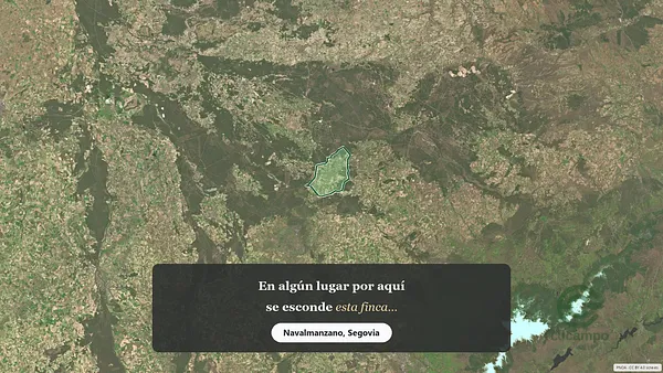 Spot image