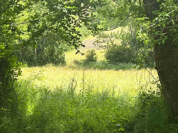 Finca rústica de 0,0259 ha en venta en Cistierna, León
