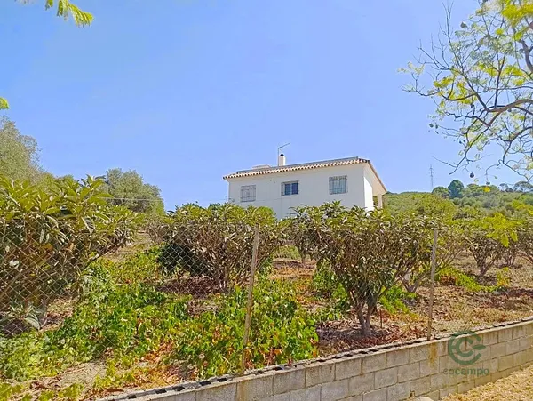 Spot image