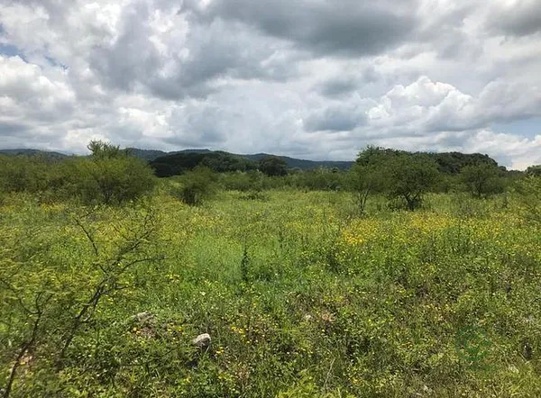 Finca agrícola de 4 ha en venta en Salta