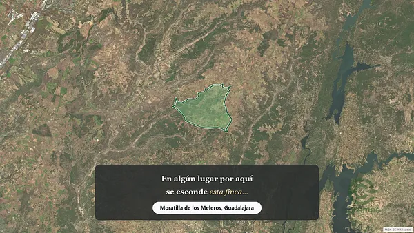 Spot image