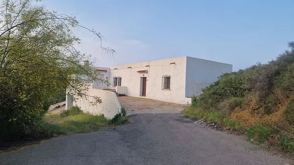 Spot image