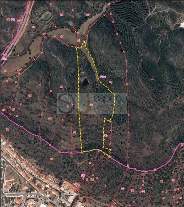 Spot image