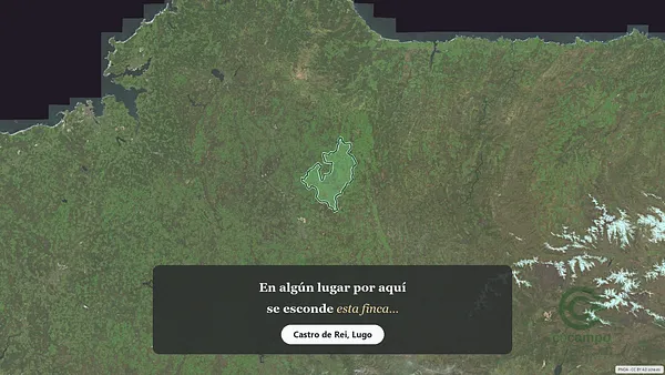 Spot image