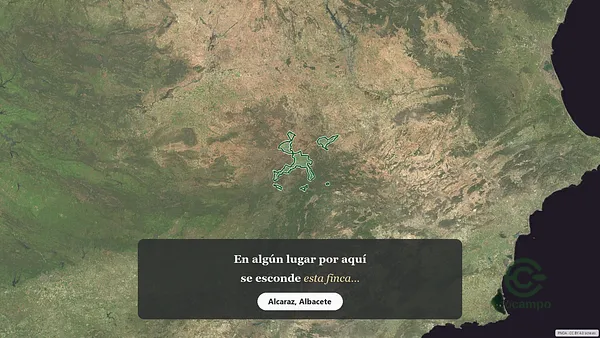 Spot image