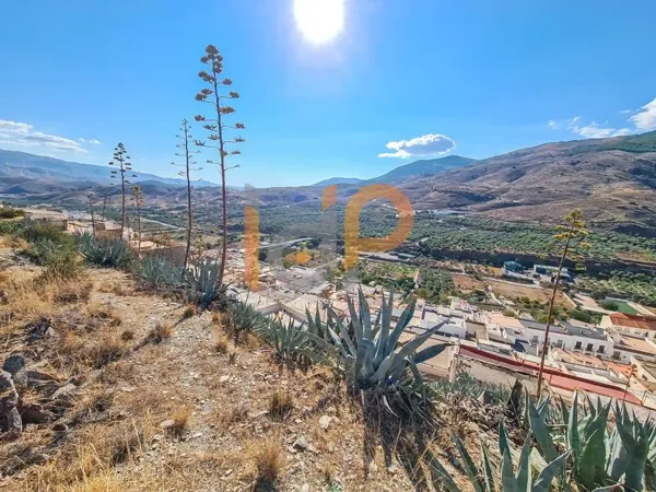 Spot image
