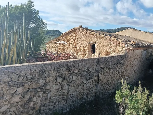 Spot image