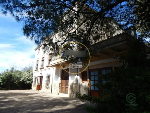 Spot image