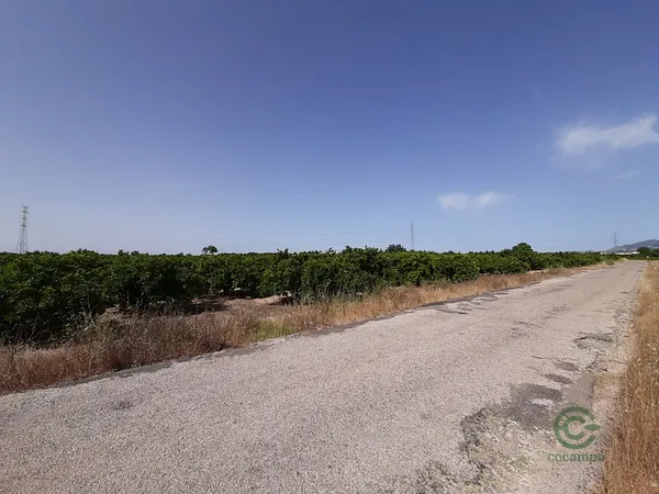 Finca agrícola de 1,5 ha en venta en Alzira, Valencia