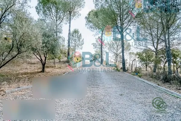 Spot image