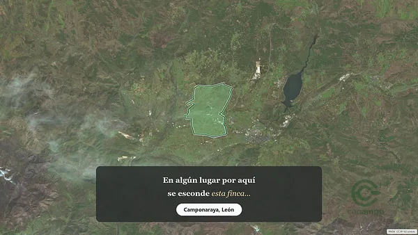 Spot image