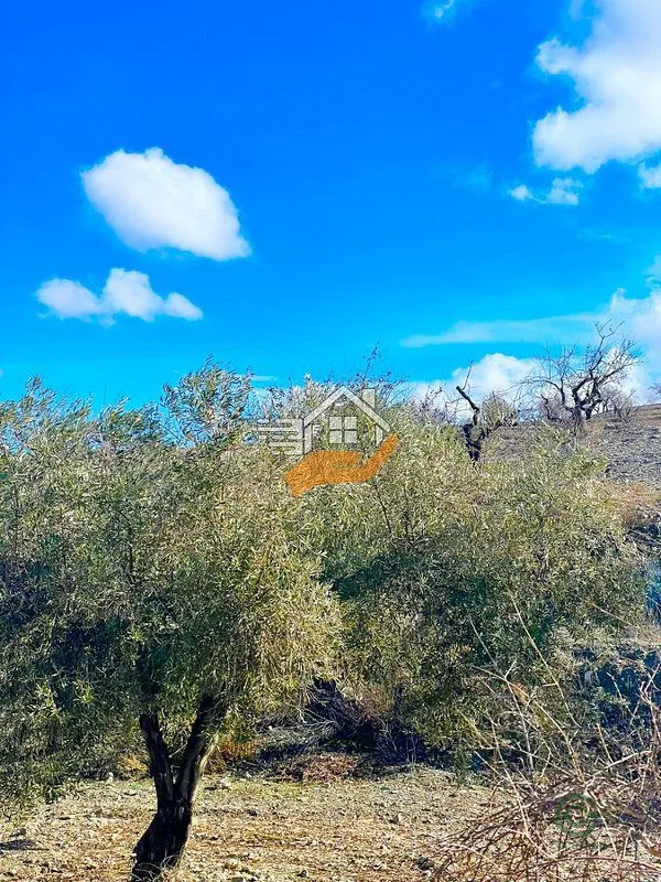 Spot image