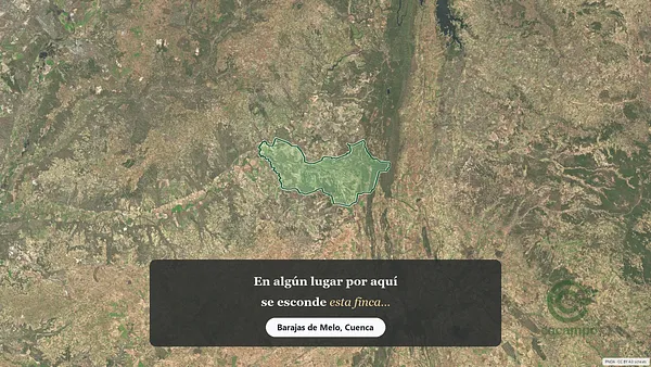 Spot image