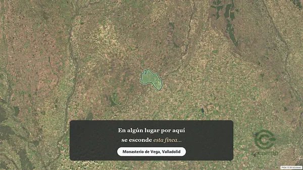 Spot image