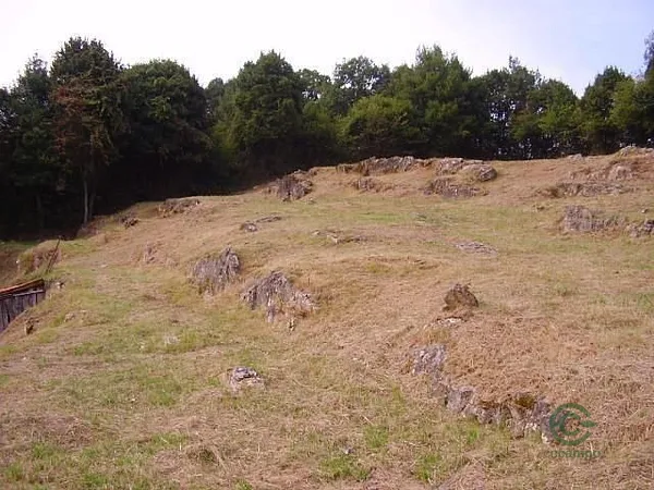 Finca rústica de 0,14 ha en venta en Candamo, Asturias