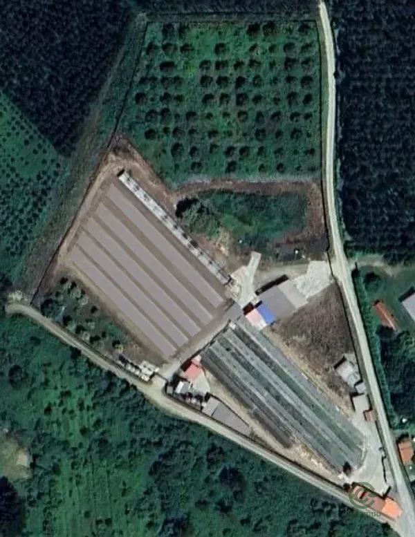 Spot image