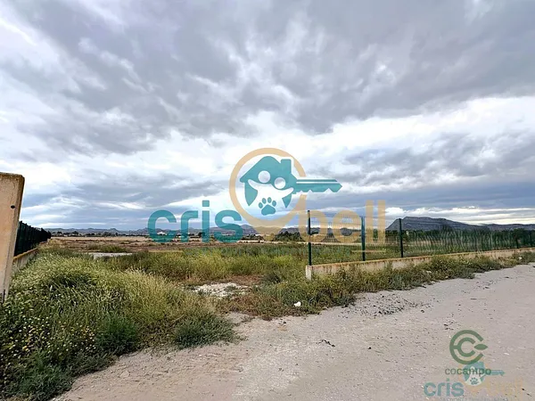 Spot image