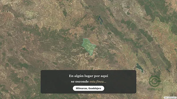 Spot image