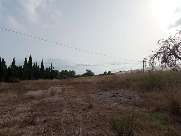 Spot image