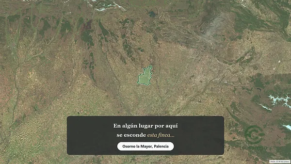 Spot image