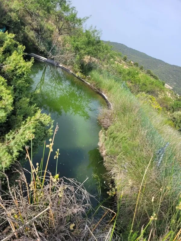Spot image