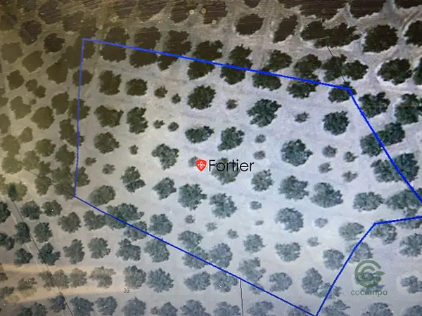 Spot image